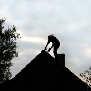 Early Sweep - Charlottesville VA - Chimney Guys social