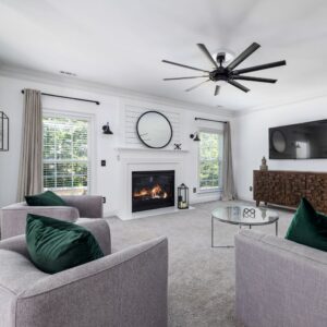a living room with modern decor and a fireplace